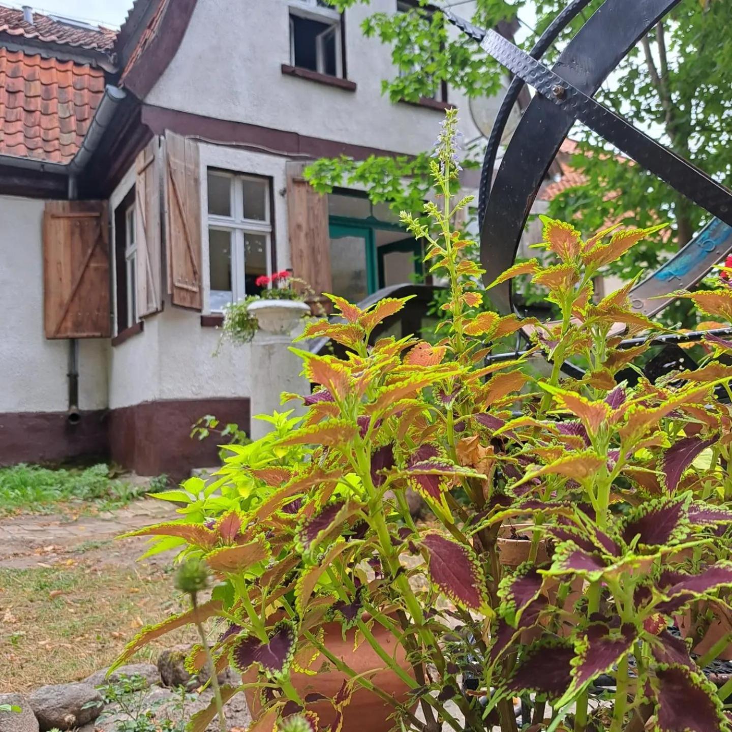 Bed and Breakfast Dom Na Mazurach Pilec Esterno foto