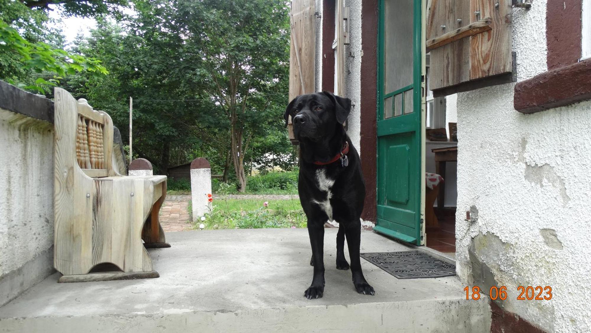 Bed and Breakfast Dom Na Mazurach Pilec Esterno foto