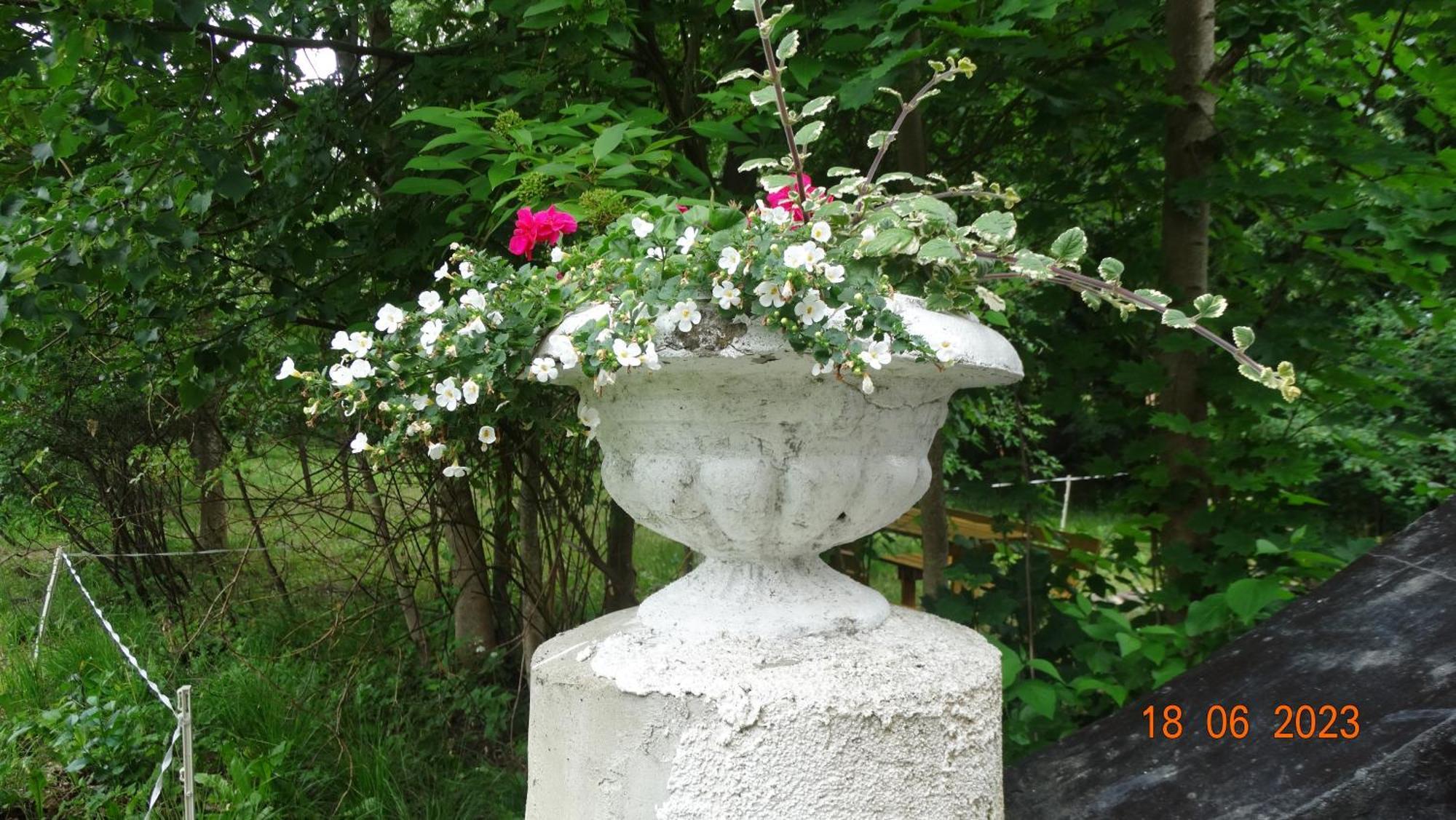 Bed and Breakfast Dom Na Mazurach Pilec Esterno foto