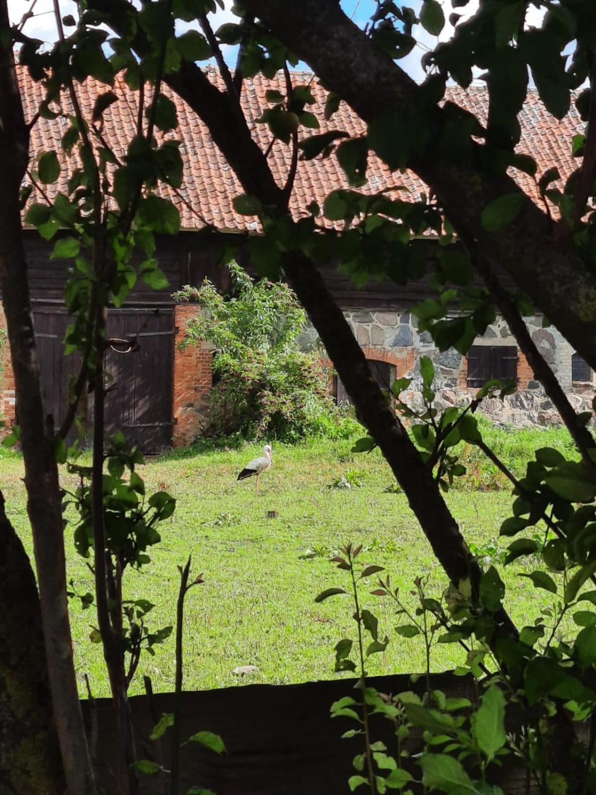 Bed and Breakfast Dom Na Mazurach Pilec Esterno foto